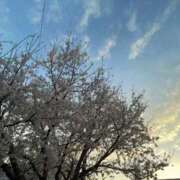 ヒメ日記 2026/01/29 09:39 投稿 ゆあ 多治見・土岐・春日井ちゃんこ