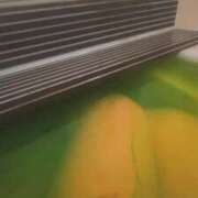 ヒメ日記 2026/02/02 10:39 投稿 ゆあ 多治見・土岐・春日井ちゃんこ