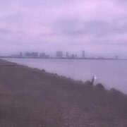 ヒメ日記 2026/02/08 06:39 投稿 ゆあ 多治見・土岐・春日井ちゃんこ