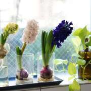 ヒメ日記 2025/04/29 20:04 投稿 ジュン 土山熟女・美少女ならココ！