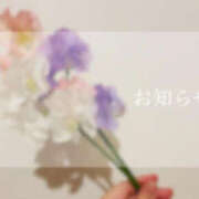 ヒメ日記 2025/02/17 23:50 投稿 りえ ぽちゃLOVE(サンライズグループ)