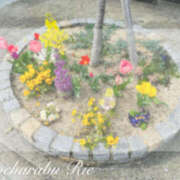 ヒメ日記 2025/03/31 19:48 投稿 りえ ぽちゃLOVE(サンライズグループ)