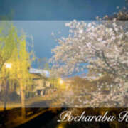 ヒメ日記 2025/04/06 17:33 投稿 りえ ぽちゃLOVE(サンライズグループ)