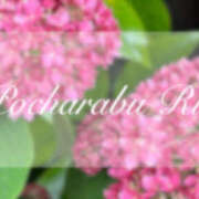 ヒメ日記 2025/06/23 23:21 投稿 りえ ぽちゃLOVE(サンライズグループ)