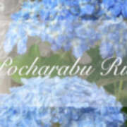 ヒメ日記 2025/06/30 18:36 投稿 りえ ぽちゃLOVE(サンライズグループ)