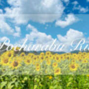 ヒメ日記 2025/08/16 16:19 投稿 りえ ぽちゃLOVE(サンライズグループ)