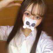 ヒメ日記 2025/05/12 09:04 投稿 ひな ピュアコス学園