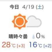 ヒメ日記 2025/04/19 12:59 投稿 森下(もりした) ロケットワイフ