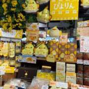 森下(もりした) 愛知といえば ロケットワイフ