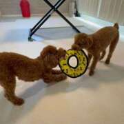 ヒメ日記 2026/03/09 14:10 投稿 ♡こはる♡ 梅田ムチぽよ女学院