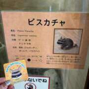 ヒメ日記 2025/11/25 01:59 投稿 じゅり 丸妻 厚木店