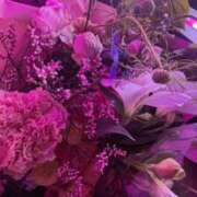 ヒメ日記 2025/06/16 19:55 投稿 るいか バイオレンス