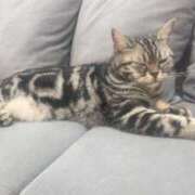 ヒメ日記 2025/05/15 21:58 投稿 ここ 素人アロマエステ東京密着ROOM 渋谷店