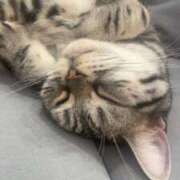 ヒメ日記 2025/10/24 11:28 投稿 ここ 素人アロマエステ東京密着ROOM 渋谷店