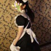 ヒメ日記 2024/12/30 10:06 投稿 楓 ドンファン