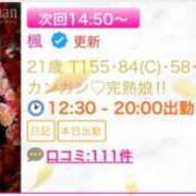 ヒメ日記 2025/07/15 11:53 投稿 楓 ドンファン