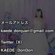 ヒメ日記 2025/08/06 17:05 投稿 楓 ドンファン