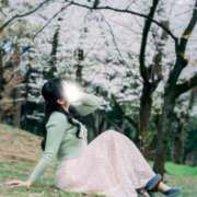 ヒメ日記 2025/10/04 09:28 投稿 楓 ドンファン