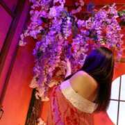 ヒメ日記 2025/11/02 11:58 投稿 楓 ドンファン