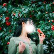 ヒメ日記 2025/11/12 11:56 投稿 楓 ドンファン