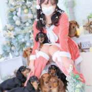 ヒメ日記 2025/12/25 10:19 投稿 楓 ドンファン