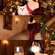 ヒメ日記 2025/12/27 08:00 投稿 楓 ドンファン