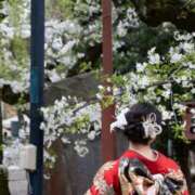 ヒメ日記 2025/12/30 20:55 投稿 楓 ドンファン