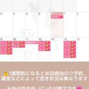 ヒメ日記 2026/02/07 09:42 投稿 楓 ドンファン