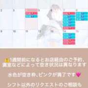 ヒメ日記 2026/03/04 16:29 投稿 楓 ドンファン