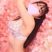 ヒメ日記 2026/05/02 21:05 投稿 楓 ドンファン