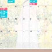 ヒメ日記 2026/08/04 07:47 投稿 楓 ドンファン