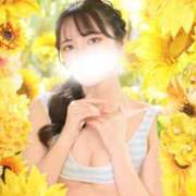 ヒメ日記 2026/08/07 12:46 投稿 楓 ドンファン