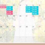 ヒメ日記 2026/08/11 07:56 投稿 楓 ドンファン