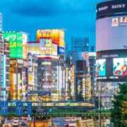 ヒメ日記 2026/04/07 19:49 投稿 星野　りく SM東京　新宿店