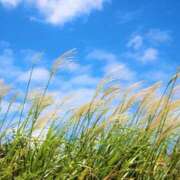 ヒメ日記 2026/04/07 20:13 投稿 星野　りく SM東京　新宿店