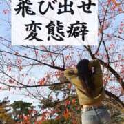 ヒメ日記 2024/12/31 05:11 投稿 よしこ 和歌山人妻援護会