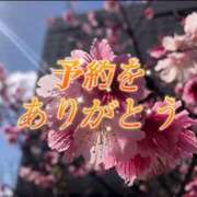ヒメ日記 2025/02/09 01:19 投稿 よしこ 和歌山人妻援護会