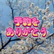 ヒメ日記 2025/04/08 13:48 投稿 よしこ 和歌山人妻援護会