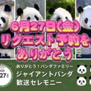 ヒメ日記 2025/06/17 23:19 投稿 よしこ 和歌山人妻援護会