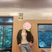 ヒメ日記 2025/07/15 23:36 投稿 よしこ 和歌山人妻援護会