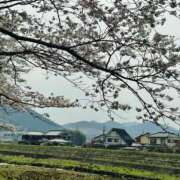 ヒメ日記 2026/03/31 10:26 投稿 よしこ 和歌山人妻援護会