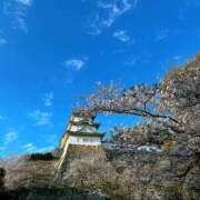 ヒメ日記 2026/04/07 17:46 投稿 よしこ 和歌山人妻援護会