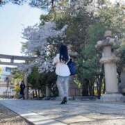 ヒメ日記 2026/04/09 14:36 投稿 よしこ 和歌山人妻援護会