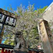 ヒメ日記 2026/04/11 16:23 投稿 よしこ 和歌山人妻援護会