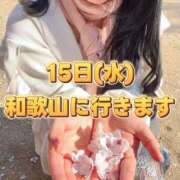 ヒメ日記 2026/04/14 13:58 投稿 よしこ 和歌山人妻援護会