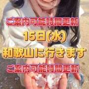 ヒメ日記 2026/04/14 20:11 投稿 よしこ 和歌山人妻援護会