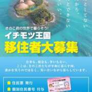ヒメ日記 2026/05/10 11:07 投稿 よしこ 和歌山人妻援護会