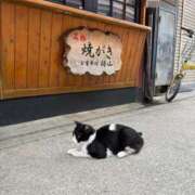 ヒメ日記 2025/09/22 09:08 投稿 はるか YDHやまぐちデリバリーヘルス（山口、新山口、防府、宇部）