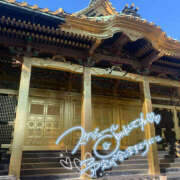 ヒメ日記 2025/01/08 12:15 投稿 美香 上野人妻城