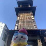 ヒメ日記 2025/03/05 09:51 投稿 美香 上野人妻城